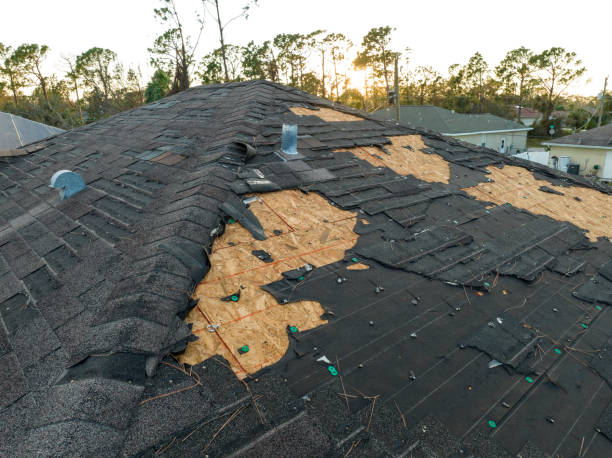 Best Solar Panel Roofing Installation  in Deltona, FL