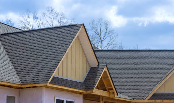 Best Asphalt Shingle Roofing  in Deltona, FL