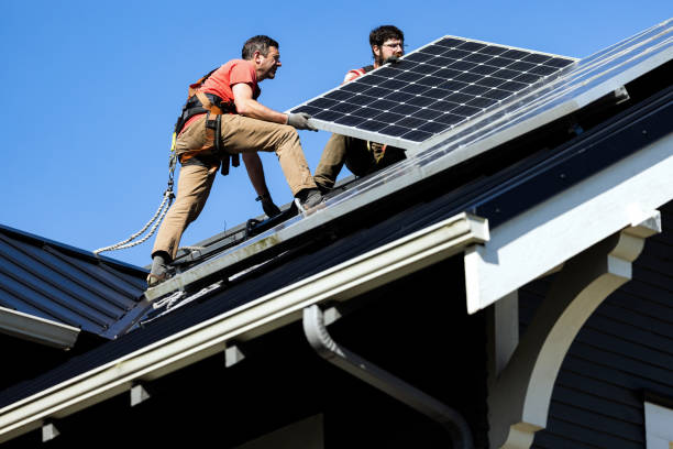 Best Roof Moss and Algae Removal  in Deltona, FL